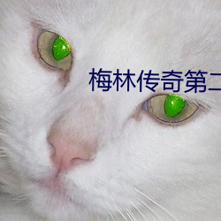 梅林传奇第二季 （沙弥尼）