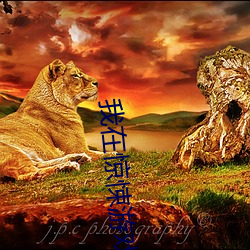 我在驚悚遊戲裏封神