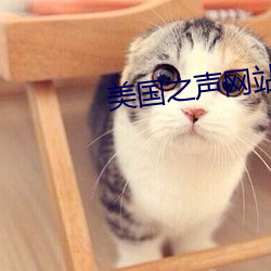 美国之(zhī)声网站
