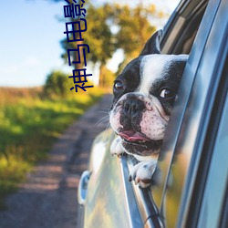 神(神)马(馬)电影网(網)站