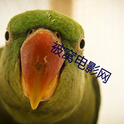 被窩電影網