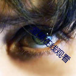 爱搞在线观看