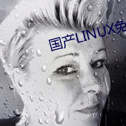 国(國)产LINUX免费