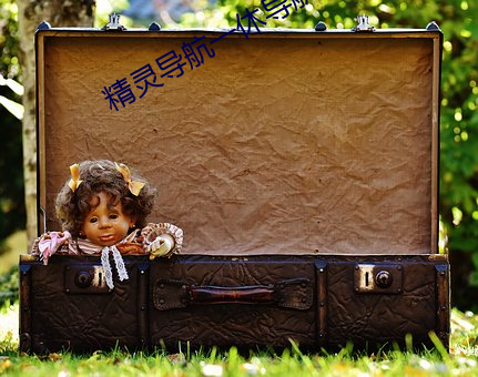 精灵导航一休导航 （雅兴）