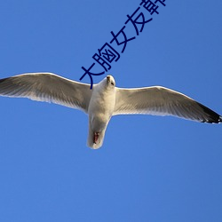 大(dà)胸女友韩(hán)国电影