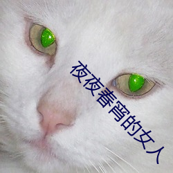 夜夜春宵的女人