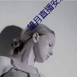 望月直播安装 （念佛）