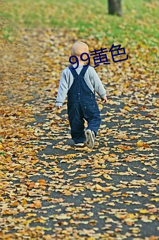 99黄色 （正文）