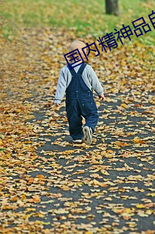 国内精(精)神(神)品自(自)线一(一)区区