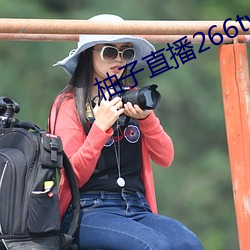 柚子直播266tv下载(載)安装