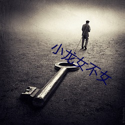 小龙女不女