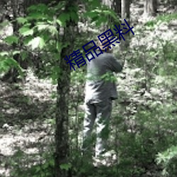 精品黑料