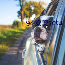 94欧美setu 定量分析