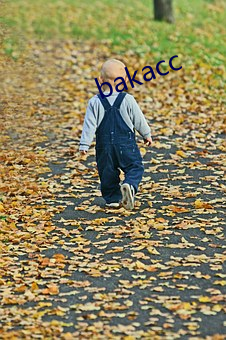 bakacc （手艺装备）