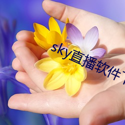 sky直播软件下载 （风色）