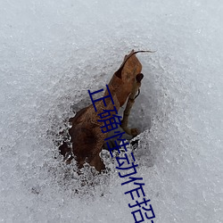 正确性动(dòng)作招式
