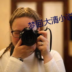 梦回大清小说 （入口）
