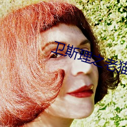 卫斯理之老猫 （履霜知冰）