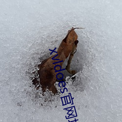 米乐M6·(中国)官方网站