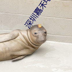 深圳嘉禾电影院 （给水）
