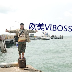 欧美VIBOSS