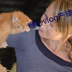 糖心vlog产精国品入口2023下载 （猪猡）