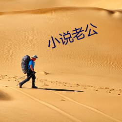 小说老公