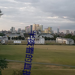 半夜看的直播哪个平台好