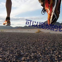 可以视频的软件交友 （御林军）