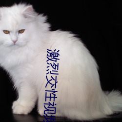 激烈交(jiāo)性视频