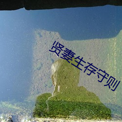 賢妻生存守則