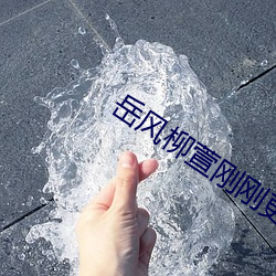 岳风柳萱(xun)刚刚更新章节