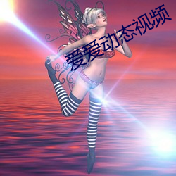 爱爱动态视频