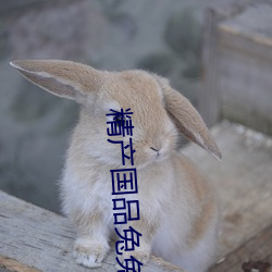 精产国品兔兔 （量体裁衣）