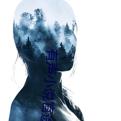 有声小说官途