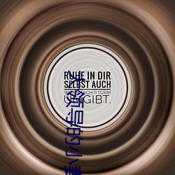 大领导的小妻子