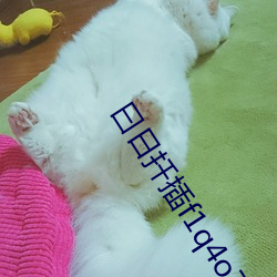 曰日扡插f1q4o78w