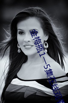 金(jn)梅瓶1一5集在线观看