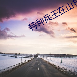 特種兵王在山村