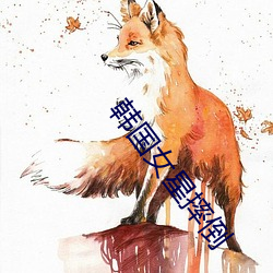 韩国女星摔倒