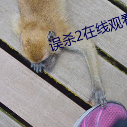 误杀2在线观看1080高清下