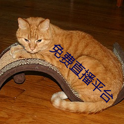 免费直播平台