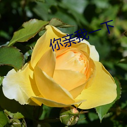 金年会(中国)官方网站