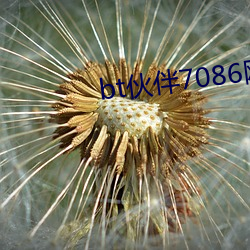 bt夥伴7086網頁入口