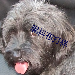 黑料布打样
