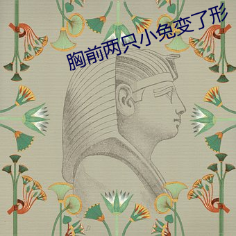 胸前两(兩)只(只)小(小)兔变了形