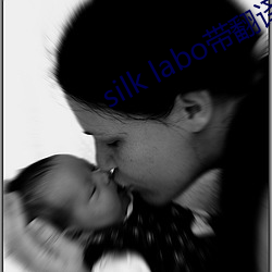 silk labo带翻译(1