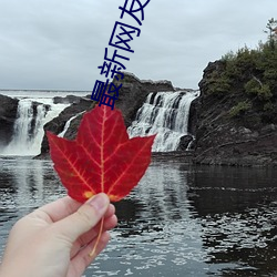 最(最)新网友(友)自拍