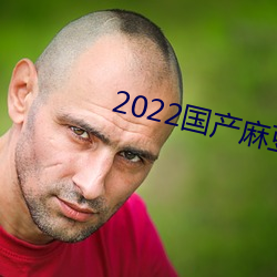 2022国产麻豆剧果冻传媒 赴宴）
