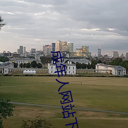 成年人网站下载 （半壁）